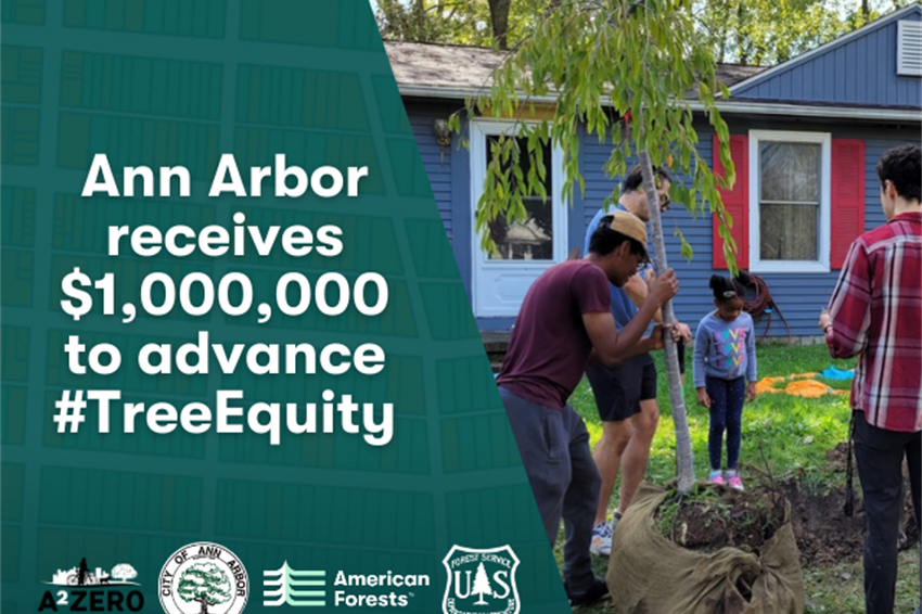 Ann Arbor Partners with American Forests to Grow Equitable Tree Cover