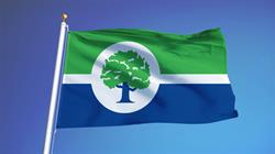 Flag with a green and blue background with a white circle around a tree