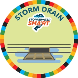 Adopt-a-storm drain to help with fall leaves 