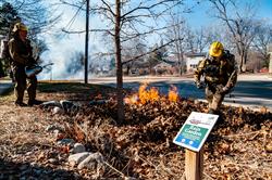 Local Rain Gardens Continue to Thrive With Help From Controlled Burns