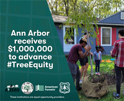 Ann Arbor Partners with American Forests to Grow Equitable Tree Cover