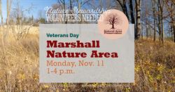 Join NAP for November Events in Ann Arbor Parks!