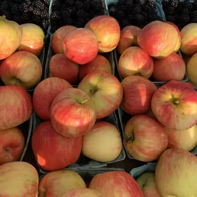 Red and yellow apples on display at a farmers market